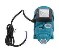 YWBL-WH Pompe à Eau DC12V 180 W 15 M de Levage Horizontal à Aspiration Unique avec Moteur à Turbine Unipolaire pour L'irrigation Agricole Domestique et L'approvisionnement en Eau de