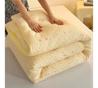 YWBXSHKD Couette RéVersible 4 Saisons 180x220cm 3.75kg, Couette Bicolore Duvet ÉDredon Couverture ImpriméE Couette TempéRéE 2 Personnes, ÉPaissir Chaud Hiver Couette Consolateur