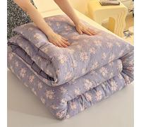 YWBXSHKD Couette RéVersible 4 Saisons 180x220cm 4.75kg, Couette Bicolore Duvet ÉDredon Couverture ImpriméE Couette TempéRéE 2 Personnes, ÉPaissir Chaud Hiver Couette Consolateur