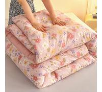 YWBXSHKD Couette RéVersible 4 Saisons 200x230cm 2.75kg, Couette Bicolore Duvet ÉDredon Couverture ImpriméE Couette TempéRéE 2 Personnes, ÉPaissir Chaud Hiver Couette Consolateur