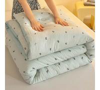 YWBXSHKD Couette RéVersible 4 Saisons 220x240cm 4.75kg, Couette Bicolore Duvet ÉDredon Couverture ImpriméE Couette TempéRéE 2 Personnes, ÉPaissir Chaud Hiver Couette Consolateur