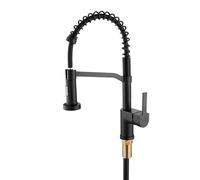 YWJFSA Robinet de Cuisine avec Douchette Extensible,2 Becs Fonctionnels,Bec Pivotant à 360°,Spring Mitigeur Cuisine