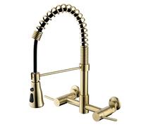 YWJFSA Robinet Mural Cuisine Douchette Robinet Cuisine Flexible avec 2 Types De Jet Robinets Cuisine Spring Mitigeur Deux Poignées,Or