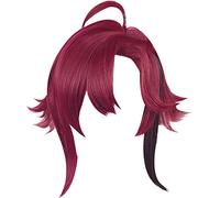 YWKSH Cosplay Perruque for Genshin Impact Shikanoin Heizou