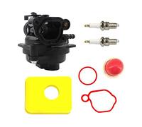 YWNYT Carburateur 595656 591979 799583 593261 591160 pour moteurs de tondeuse à gazon Briggs & Stratton 300E 450E 500E Série Carburateur