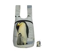 YWPCOIUYB Maman pingouin et son bébé pingouin,Sac à dos pliable et pliable, unisexe, idéal pour le sport, la gym et les loisirs.