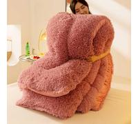 YWQJL Couette 200x230cm Chaude Edredon Gonflant Duvet Couverture Hiver Couette Lestée Couettes Couverture Epaisse Lit 2 Personnes Doux Et Confortable Grand Froid(#5,200x230cm/4.75kg)