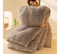 YWQJL Couette 200x230cm Chaude Edredon Gonflant Duvet Couverture Hiver Couette Lestée Couettes Couverture Epaisse Lit 2 Personnes Doux Et Confortable Grand Froid(#1,150x200cm/2.5kg)