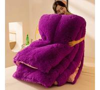 YWQJL Couette 200x230cm Chaude Edredon Gonflant Duvet Couverture Hiver Couette Lestée Couettes Couverture Epaisse Lit 2 Personnes Doux Et Confortable Grand Froid(#2,200x230cm/4kg)