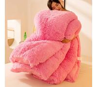 YWQJL Couette 200x230cm Chaude Edredon Gonflant Duvet Couverture Hiver Couette Lestée Couettes Couverture Epaisse Lit 2 Personnes Doux Et Confortable Grand Froid(#4,200x230cm/4kg)