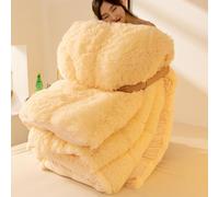 YWQJL Couette 200x230cm Chaude Edredon Gonflant Duvet Couverture Hiver Couette Lestée Couettes Couverture Epaisse Lit 2 Personnes Doux Et Confortable Grand Froid(#3,150x200cm/3.25kg)