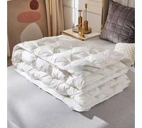 YWQJL Couette Chaude Edredon Gonflant Duvet pour Confort Édredon Epaisse Couverture Hiver Chaude pour Lit Couette Duvet Couettes Non Lavable sans Housse(#6,200x230cm/4.5kg)