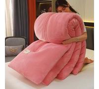 YWQJL Couverture Couette Hiver Extra Chaude Couettes Chaudes 2 Places Couverture Lestée Adulte Couette Réversible Legere Et Fine Edredon Gonflant Duvet(#5,200x230cm/4kg)