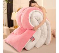 YWQJL Couverture Couette Hiver Extra Chaude Couettes Chaudes 2 Places Couverture Lestée Adulte Couette Réversible Legere Et Fine Edredon Gonflant Duvet(#10,180x220cm/5kg)