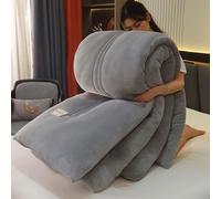 YWQJL Couverture Couette Hiver Extra Chaude Couettes Chaudes 2 Places Couverture Lestée Adulte Couette Réversible Legere Et Fine Edredon Gonflant Duvet(#1,150x200cm/3.5kg)