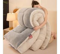 YWQJL Couverture Couette Hiver Extra Chaude Couettes Chaudes 2 Places Couverture Lestée Adulte Couette Réversible Legere Et Fine Edredon Gonflant Duvet(#6,180x220cm/4kg)