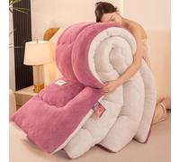 YWQJL Couverture Couette Hiver Extra Chaude Couettes Chaudes 2 Places Couverture Lestée Adulte Couette Réversible Legere Et Fine Edredon Gonflant Duvet(#9,200x230cm/5kg)