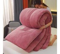 YWQJL Couverture Couette Hiver Extra Chaude Couettes Chaudes 2 Places Couverture Lestée Adulte Couette Réversible Legere Et Fine Edredon Gonflant Duvet(#4,150x200cm/2.5kg)