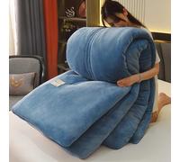 YWQJL Couverture Couette Hiver Extra Chaude Couettes Chaudes 2 Places Couverture Lestée Adulte Couette Réversible Legere Et Fine Edredon Gonflant Duvet(#2,220x240cm/5kg)