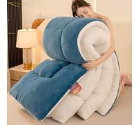 YWQJL Couverture Couette Hiver Extra Chaude Couettes Chaudes 2 Places Couverture Lestée Adulte Couette Réversible Legere Et Fine Edredon Gonflant Duvet(#7,200x230cm/3kg)