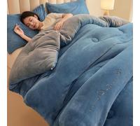 YWQJL Couverture Hiver Chaude Couette Lourde Lestée Douce Et Respirante Couverture Epaisse Lit 2 Personnes Couettes sans Housse Couette pour Hiver Et Automne(#1,150x200cm/3.5kg)