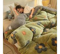 YWQJL Couverture Hiver Chaude Couettes Edredon Gonflant Duvet Plume Couette Hiver Chaude sans Housse Moelleuse Couverture Epaisse Polaire pour l'hiver(#12,180x220cm/3kg)