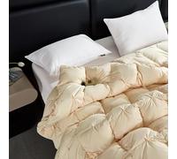 YWQJL Edredon Plume d'oie Gonflant Edredon Gonflant Duvet Plume éDredon Plume Couette Hiver TrèS Chaude Dodo sans Housse (#3,200x230cm-4.5kg)