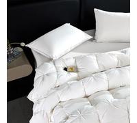 YWQJL Edredon Plume d'oie Gonflant Edredon Gonflant Duvet Plume éDredon Plume Couette Hiver TrèS Chaude Dodo sans Housse (#1,180x220cm-3.5kg)