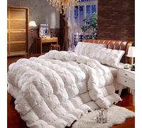 YWQJL Edredon Plume d'oie Gonflant Edredon Gonflant Duvet Plume éDredon Plume Couette Hiver TrèS Chaude Dodo sans Housse (#1,150x200cm/2kg)