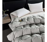 YWQJL Edredon Plume d'oie Gonflant Edredon Gonflant Duvet Plume éDredon Plume Couette Hiver TrèS Chaude Dodo sans Housse (#2,200x230cm-4kg)