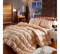 YWQJL Edredon Plume d'oie Gonflant Edredon Gonflant Duvet Plume éDredon Plume Couette Hiver TrèS Chaude Dodo sans Housse (#3,180x220cm/4kg)