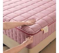 YWQJL Housse Integrale Matelas Fermeture Eclair Anti Acarien RéNove Matelas Integral Fermeture éClair Protection Matelas ComplèTe(2,120x200+10cm)