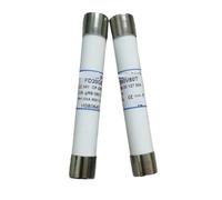 YWRWUPMGK Fusibles : FD20GB100V6 N089482/ FD20GB100V8 P089483 /FD20GB100V125P X095700(FD20GB100V6)