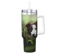 YWSOTRE Border Collie Stone Sweet Brown Chiens Animaux de compagnie,Bouteille d'eau en acier inoxydable avec poignée Ice Bully Cup 40 oz