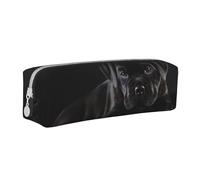 YWSOTRE Cane Corso Animaux Chiot Noir Cane Corso, Trousse à Crayons, étui à stylos, Sac à Crayons en Cuir Portable avec Pochette à cosmétiques à Fermeture éclair