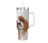 YWSOTRE Cavalier King Charles Spaniel,Bouteille d'eau en acier inoxydable avec poignée Ice Bully Cup 40 oz