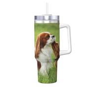 YWSOTRE Cavalier King Charles Spaniel,Bouteille d'eau en acier inoxydable avec poignée Ice Bully Cup 40 oz