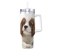 YWSOTRE Cavalier King Charles Spaniel Épagneul brun,Bouteille d'eau en acier inoxydable avec poignée Ice Bully Cup 40 oz