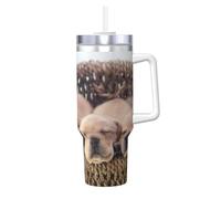 YWSOTRE Labradors Petits chiots Golden Retriever,Bouteille d'eau en acier inoxydable avec poignée Ice Bully Cup 40 oz