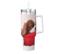 YWSOTRE Modèle Cavalier King Charles Spaniel,Bouteille d'eau en acier inoxydable avec poignée Ice Bully Cup 40 oz
