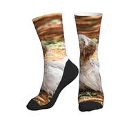 YWSOTRE Setter Anglais Automne Animaux de Compagnie Chiens Anglais,Chaussettes de Compression pour Adultes,Chaussettes mi-Mollet