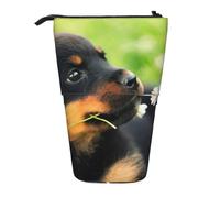 YXDVPALNE Animal Animal Mignon Chien Chiot Rottweiler,Trousse à Crayons télescopique, Porte-Crayons avec Pochette à Crayons zippée
