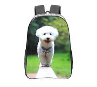 YXDVPALNE Bichon Frise Bokeh Animaux de compagnie Chiens Parc Chiens blancs,16 pouces Sac à dos décontracté Sac à dos transparent Sac d'école résistant à l'eau