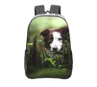 YXDVPALNE Border Collie Stone Sweet Brown Chiens Animaux de compagnie,16 pouces Sac à dos décontracté Sac à dos transparent Sac d'école résistant à l'eau