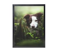 YXDVPALNE Border Collie Stone Sweet Brown Chiens Animaux de compagnie,Impressions d'art mural, cadre noir, peinture décorative à suspendre pour la maison, 30 x 40 cm