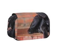YXDVPALNE Cane Corso, Gros Chiens Noirs, Animaux de Compagnie Trousse à Crayons Portable à Double Coque avec Fermeture éclair
