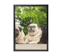 YXDVPALNE Carlin Amitié Bokeh Chiens Animaux Amis Carlin,Impressions d'art mural, cadre noir, peinture décorative à suspendre pour la maison, 30 x 40 cm