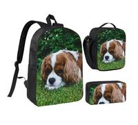 YXDVPALNE Cavalier King Charles Spaniel Blanc Brunâtre,Ensemble de 3 sacs à dos, sac à lunch et trousse pour étudiant