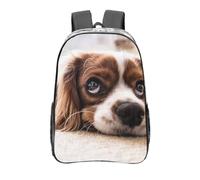 YXDVPALNE Cavalier King Charles Spaniel Chiens mignons Animaux de compagnie,16 pouces Sac à dos décontracté Sac à dos transparent Sac d'école résistant à l'eau