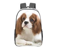 YXDVPALNE Cavalier King Charles Spaniel Épagneul brun,16 pouces Sac à dos décontracté Sac à dos transparent Sac d'école résistant à l'eau